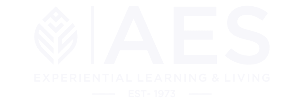 AES Logo